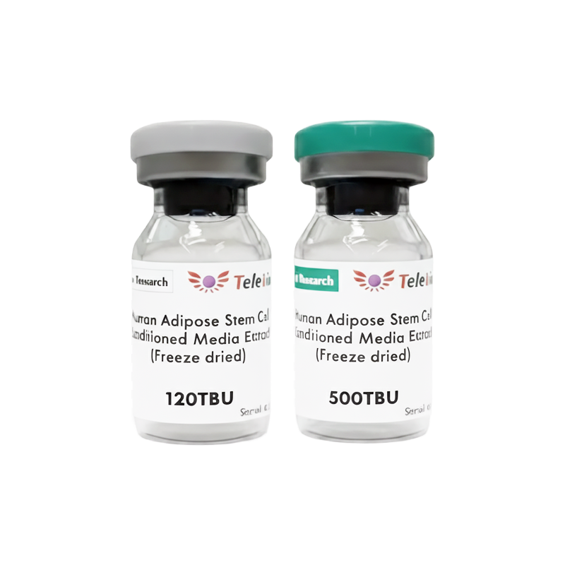 幹細胞セクレトーム